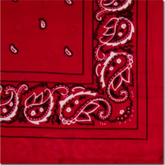 Wyoming Traders Wild Rag 100% Silk Bandana Western Scarf 42" - RED - Picture 2 of 2